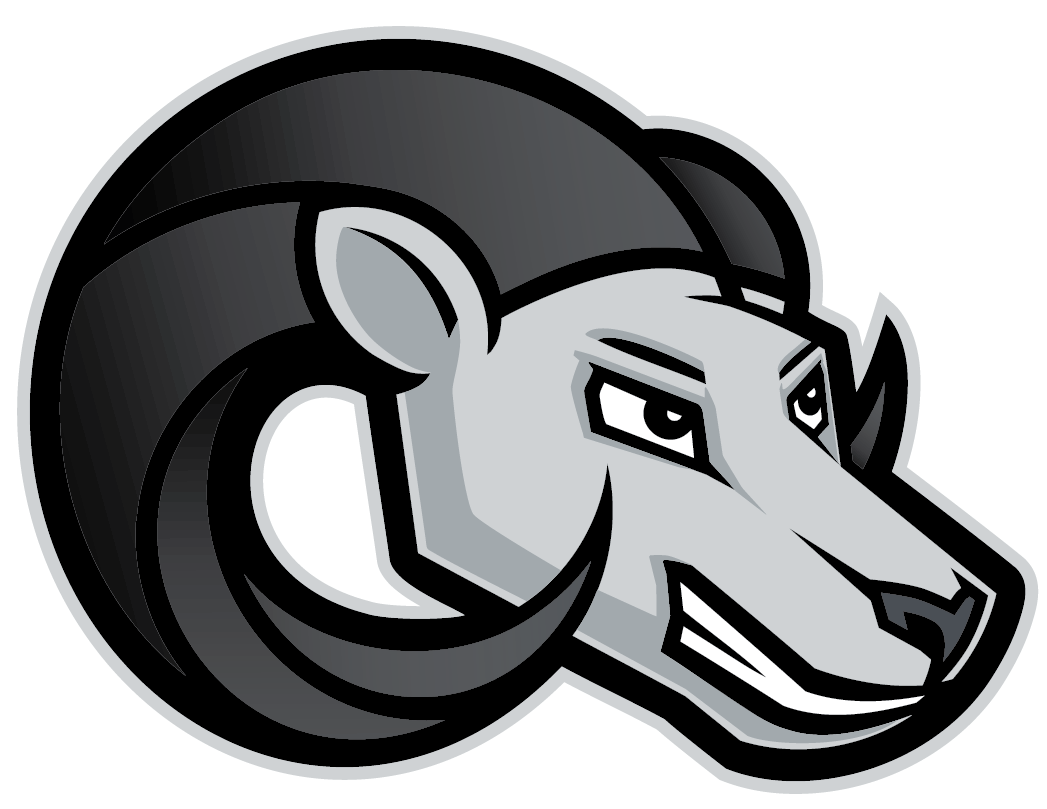 Blaze (image)