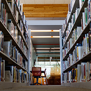 Library shelves (image)
